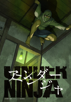 Постер к аниме Низкоквалифицированный ниндзя
